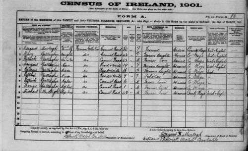 www.census.nationalarchives.ie/
