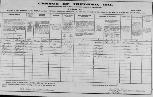 www.census.nationalarchives.ie/
